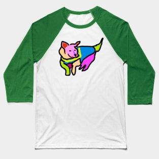 Colorful Hero Dog Baseball T-Shirt